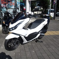 画像233