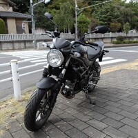 画像298